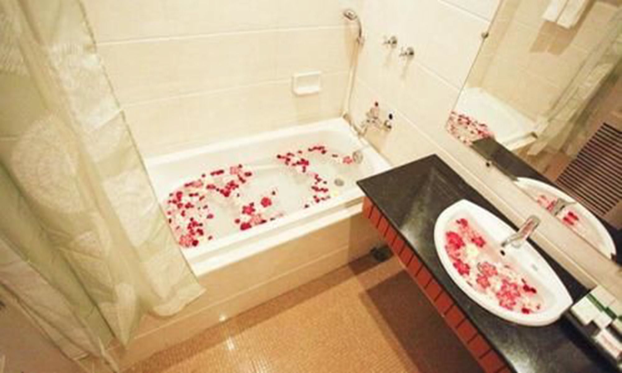Hotel The 3*