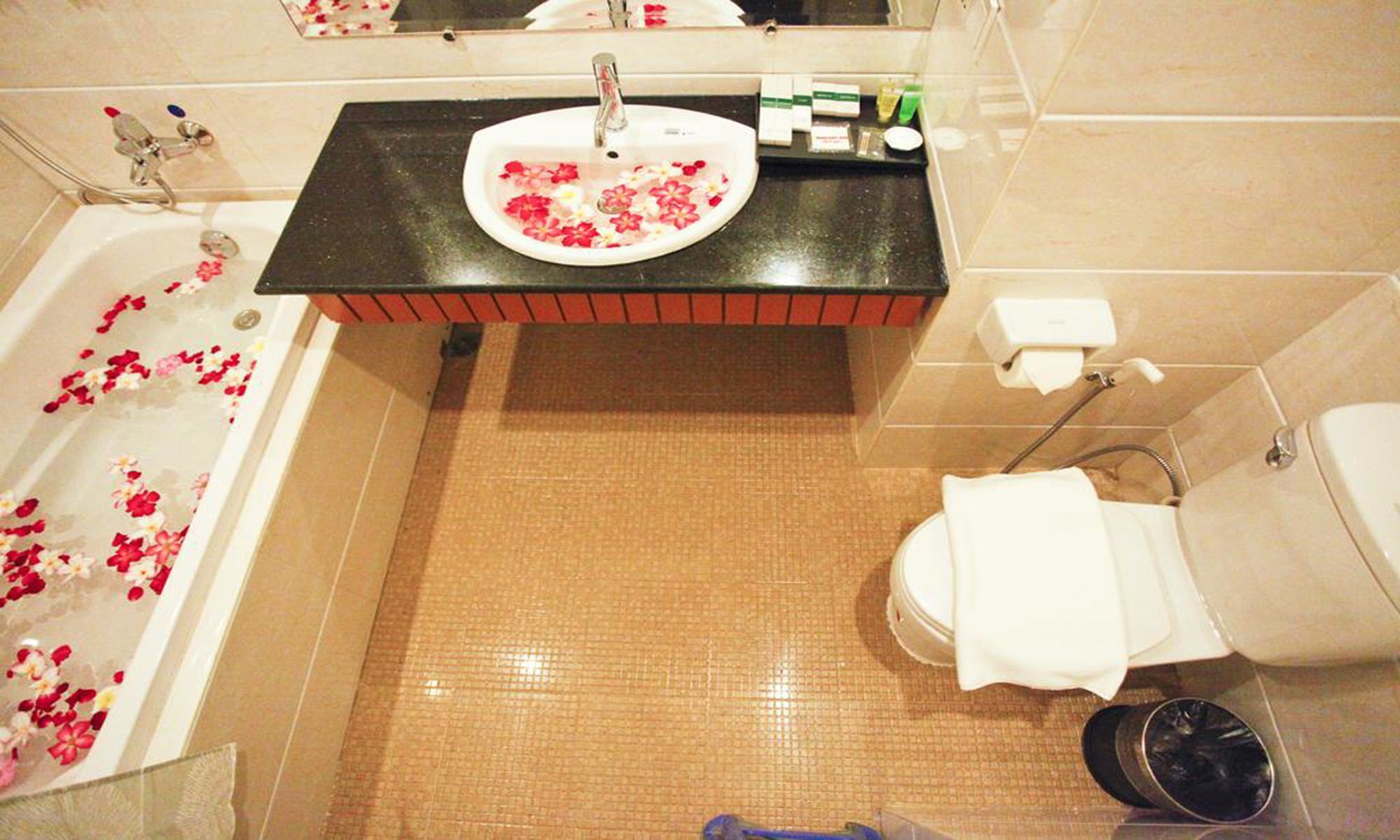 Hotel The 3*